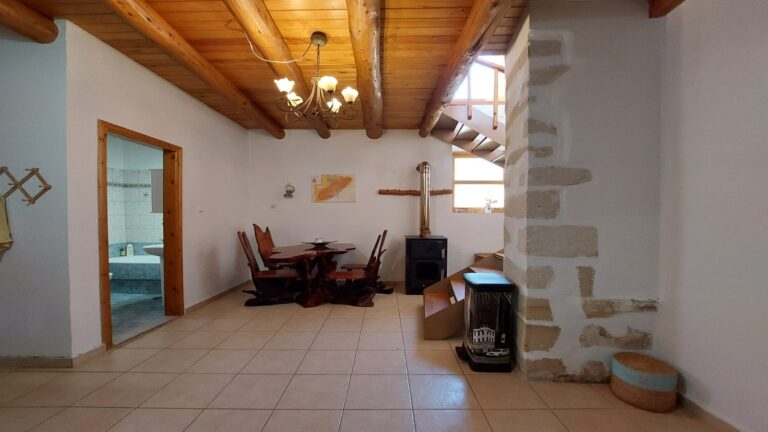 1 Bedroom Village House for Rent in Plaka - 5