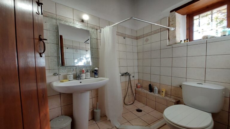 1 Bedroom Village House for Rent in Plaka - 10
