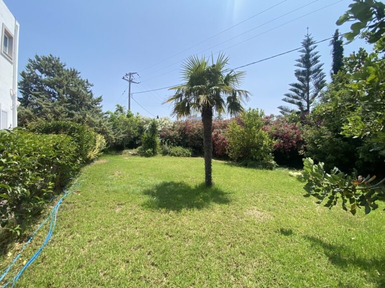 Villa in Plaka with Breathtaking Views and Private Pool For Rent - 