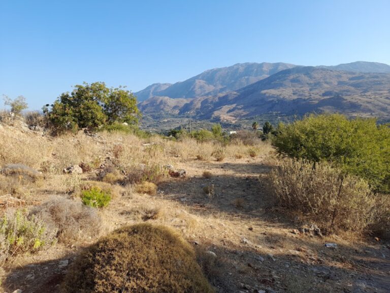 2 Properties Available For Long Term Rental - 10