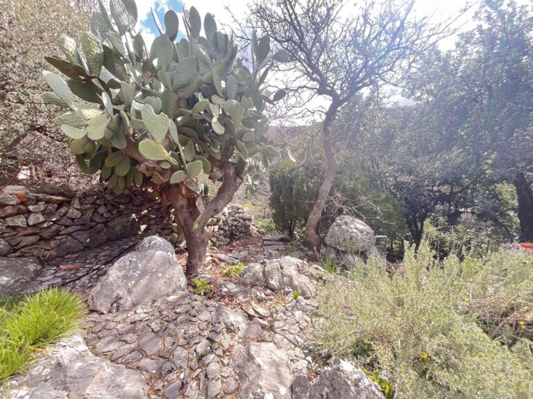 Fully Furnished 2-Bedroom Home with Mezzanine & Panoramic Views in Apokoronas - 38